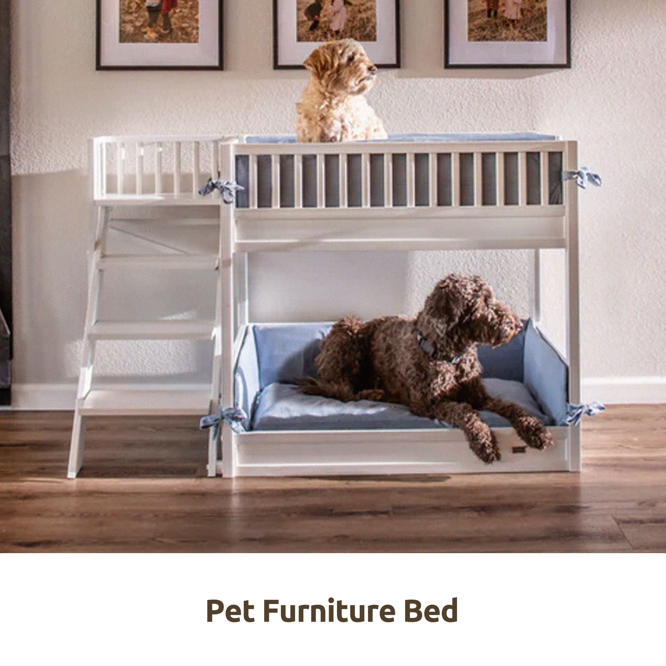 PET FURNITURE BED