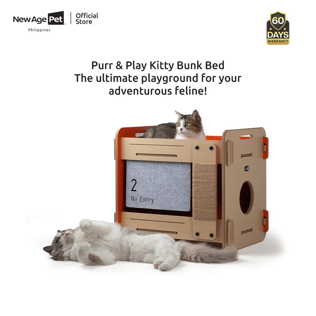 NEW AGE PET Play Structure Purr & Play Kitty Bunk Bed
