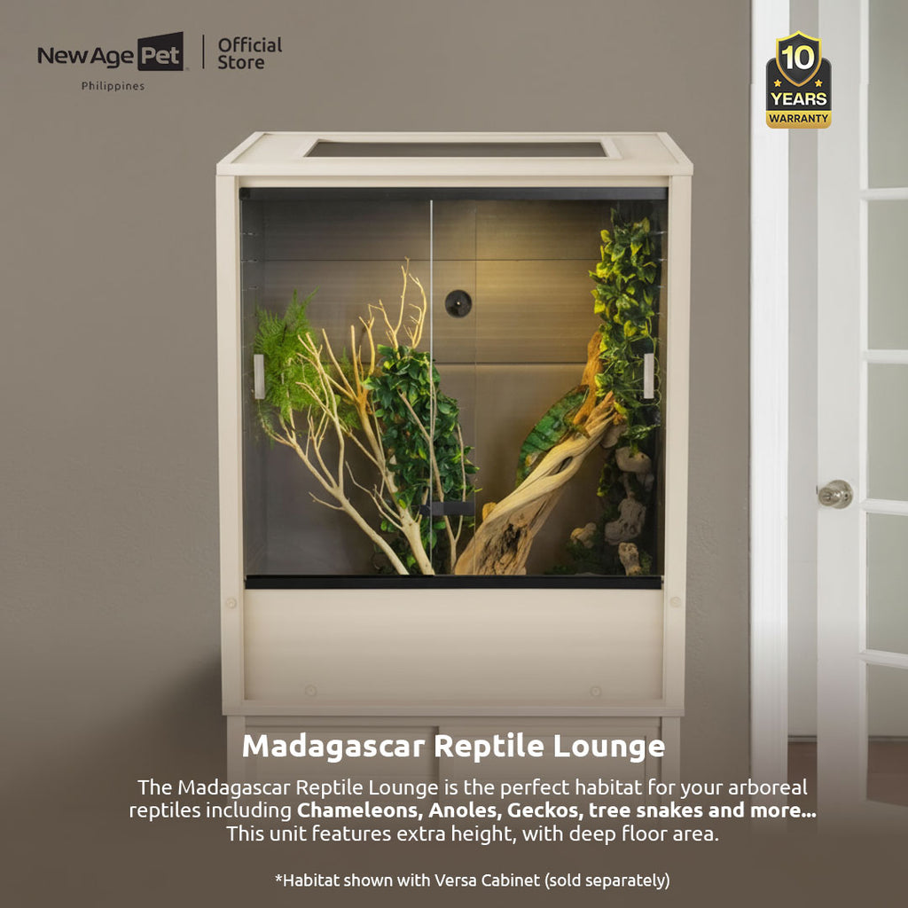 NEW AGE PET Madagascar Vertical Reptile Lounge House