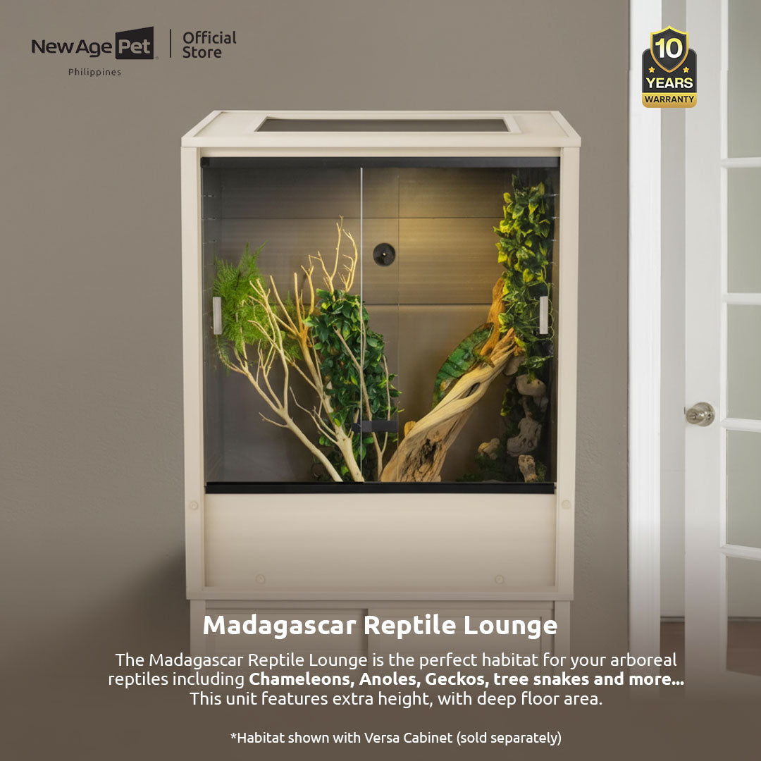 NEW AGE PET Madagascar Vertical Reptile Lounge House