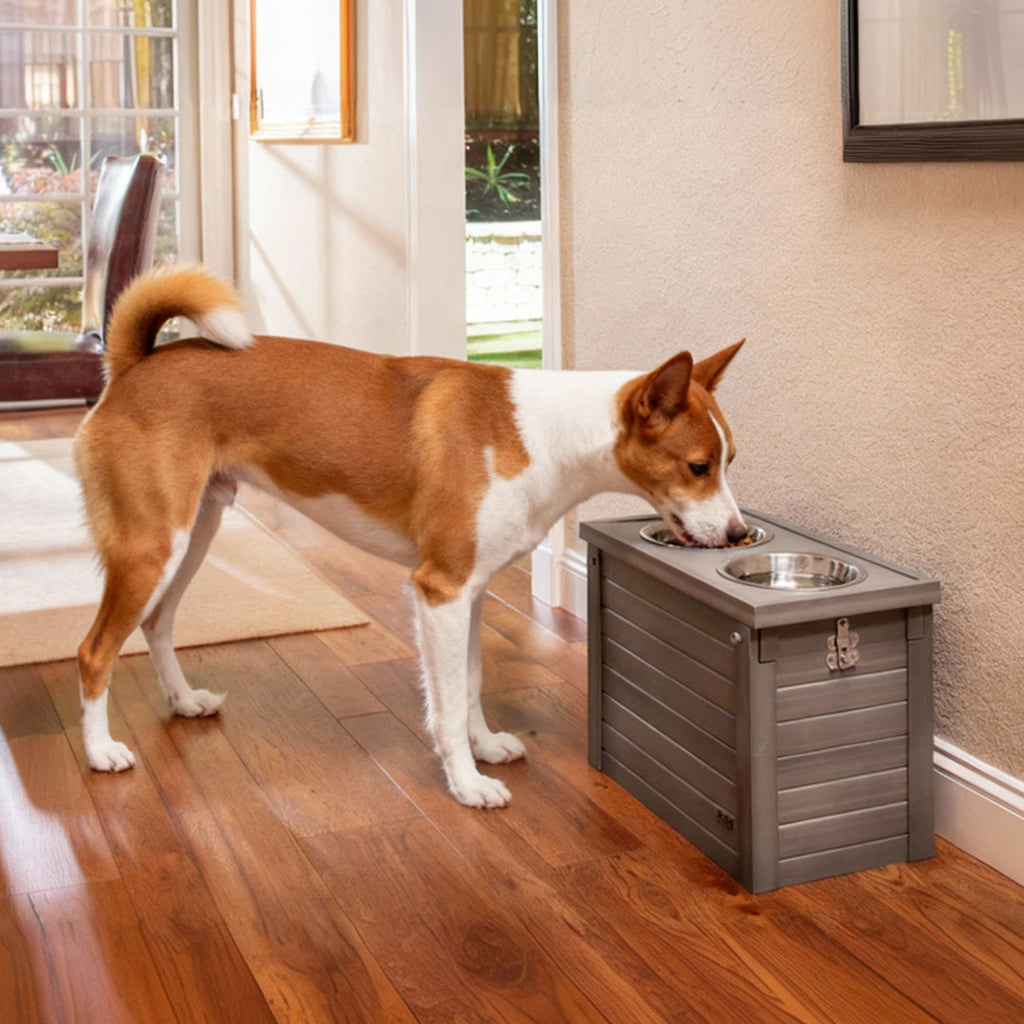 NEW AGE PET Piedmont Pet Diner Feeder Dog Bowl